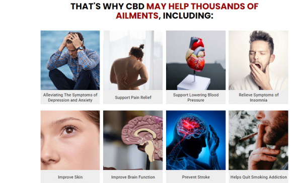 Natures Remedy CBD Gummies: The Natural Solution To Your Health Issues in 2023