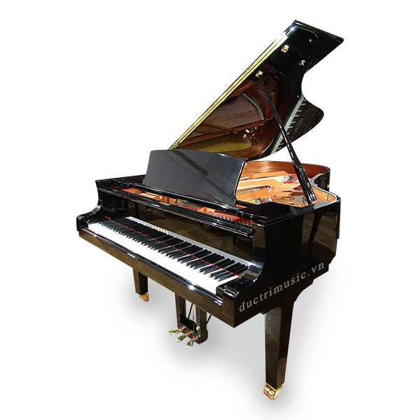 Nên mua đàn Piano cơ hay piano điện - Đức Trí Music