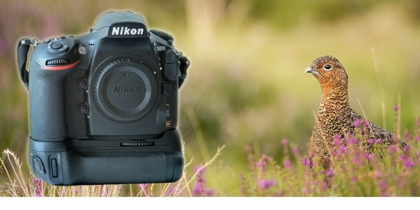 Nên mua máy ảnh DSLR nào tốt nhất?