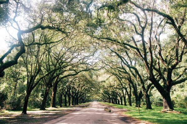 Nét quyến rũ rất riêng của Savannah, bang Georgia