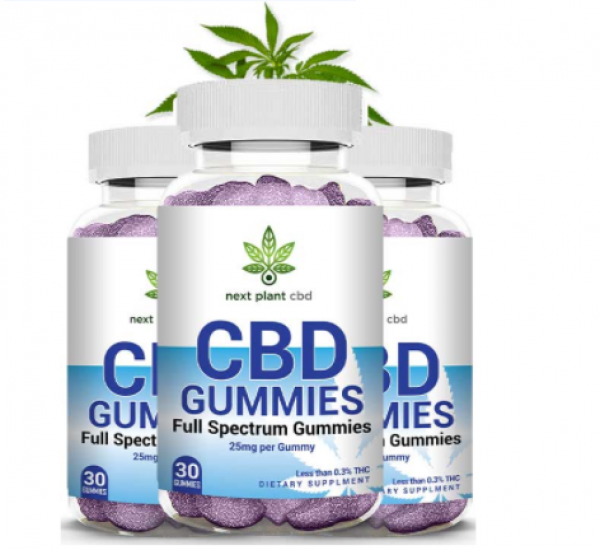 Next Plant CBD Gummies Latest Update 2022: Is IT Scam Or Real?