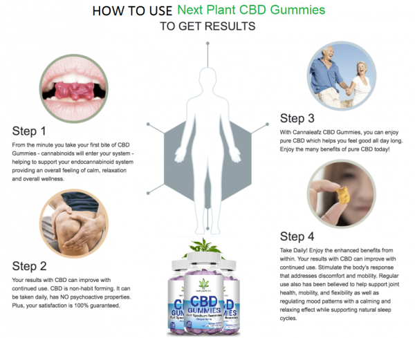 Next Plant CBD Gummies {Warnings} - All Health Body Pain!