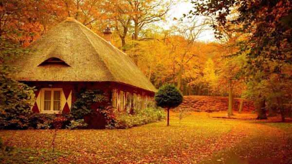 Ngẩn ngơ ngắm những ngôi nhà tuyệt đẹp dưới tán lá thu vàng dịu dàng