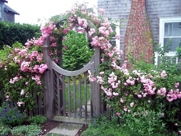Ngôi nhà đẹp nổi bật với chiếc cổng hoa thơ mộng