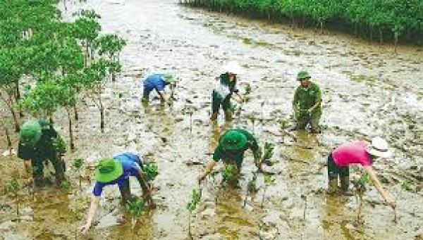 Nguồn điện năng tiết kiệm là biện pháp tích cực để bảo vệ môi trường