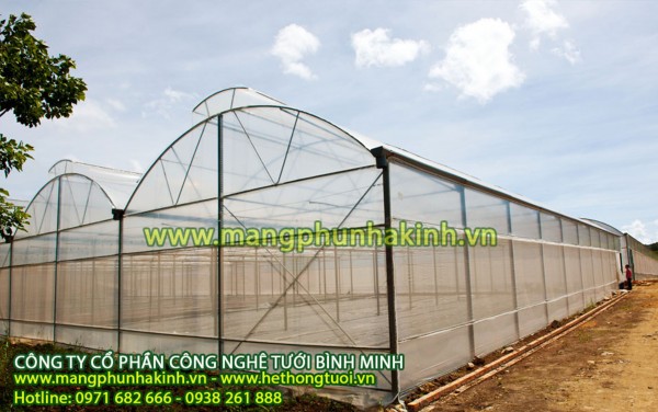 Nhà màng trồng dưa lưới,trồng hoa trong nhà kính, nhà màng trồng rau sạch,nhà màng trồng nho