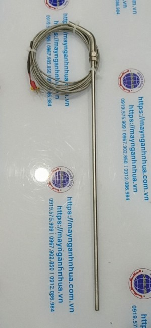 Nhà phân phối sản phẩm can nhiệt pt100