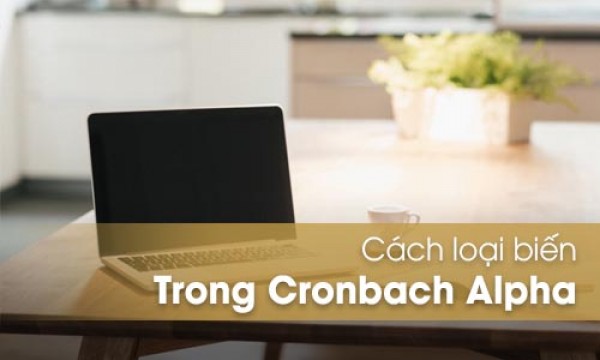 Những cách loại biến trong phân tích cronbach alpha trên SPSS 