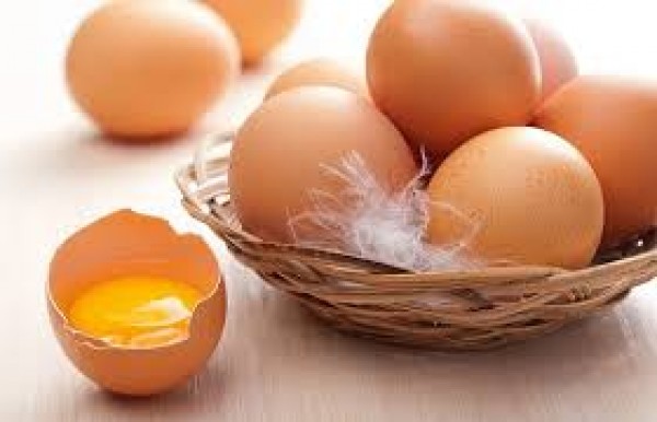 Những điều thú vị đáng tìm hiểu nhất về quả trứng