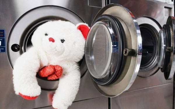 Những lưu ý cần thiết khi giặt gấu bông