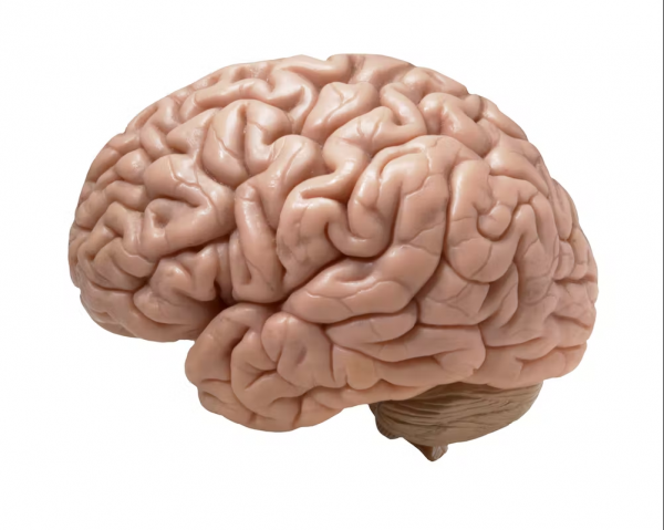 NU VigorSmart Reviews: Natural Formula To Maintain A Healthy Brain & Vision!