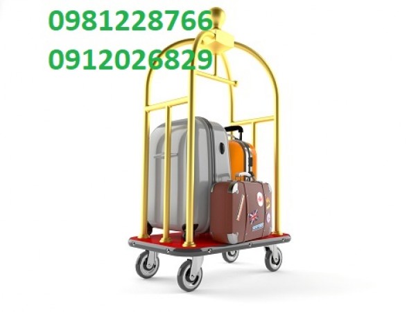 Ở đâu bán xe luggage trolley chính hãng rẻ nhất?