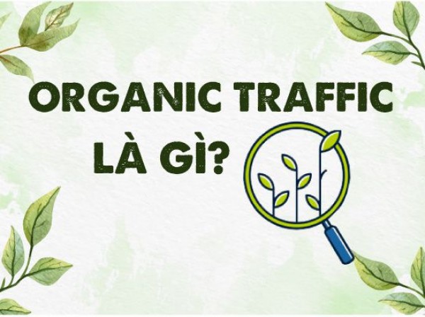 Organic traffic là gì trong lĩnh vực SEO?