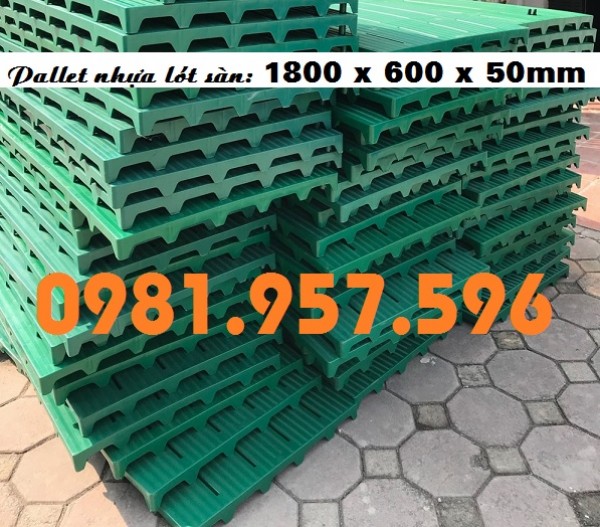 Pallet nhựa 1800 x 600 x 50mm, pallet nhựa lót sàn, pallet nhựa kê hàng