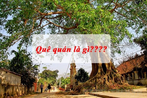 Phân biệt nguyên quán và quê quán