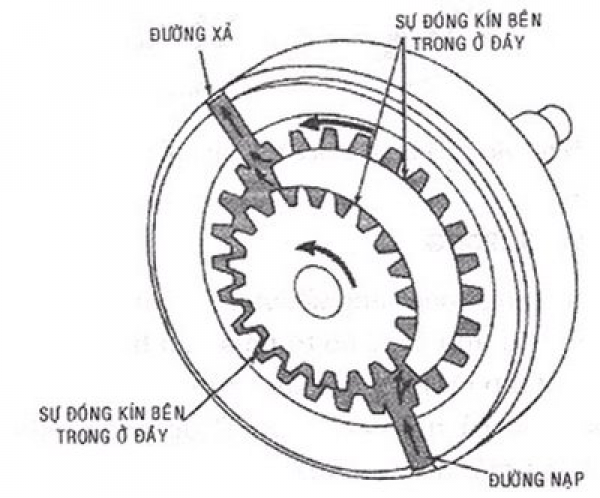 Phân loại bơm bánh răng ăn khớp trong hiện nay