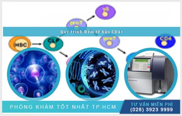 phương pháp đếm tế bào cd4