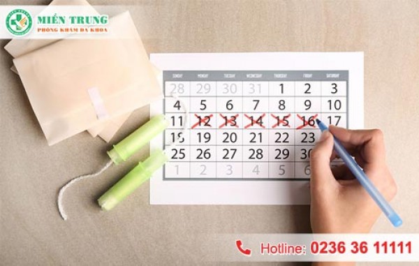 Phương pháp ổn định chu kỳ kinh nguyệt 
