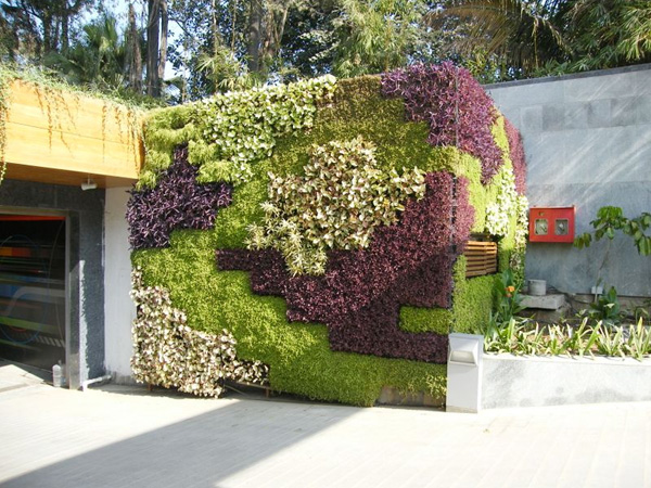 Phương pháp tạo vườn trên tường