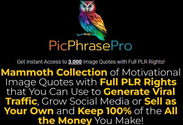 PicPhrase Pro OTO – VIP 3,000 Bonuses: Is It Worth Considering? – PicPhrase Pro Review