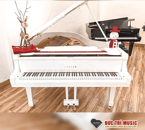 Premium Piano | Đàn Grand Kimball Vienese Louis XV | Đức Trí Music