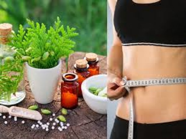 Prima Weight Loss Pills UK - Most Popular Diet Pills, Tablets Available In United Kingdom!!