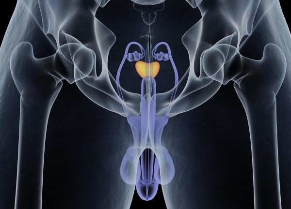 Prostadine | Advanced Prostate Health Formula Offer Begain (What Bought )?