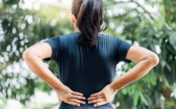 PURCHASE NOW:-►►►https://www.facebook.com/Next-Plant-Full-Spectrum-CBD-Gummies-108982435009641