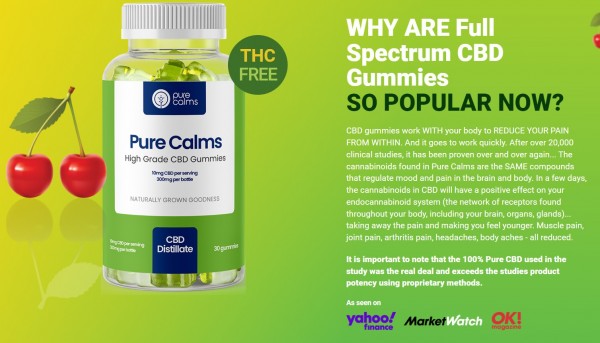 Pure Calms CBD Gummies UK: What is the Working process?