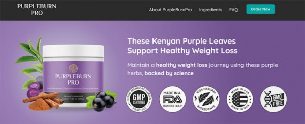 PurpleBurn Pro : Is It Scam Or Work?