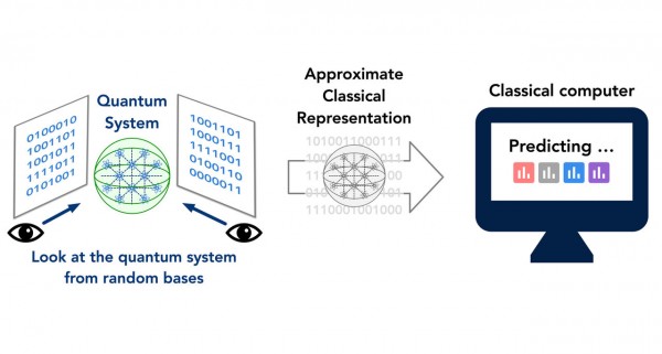 Quantum System Reviews {Official Website} Registration!