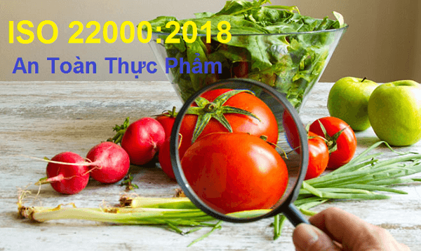 Quy trình cấp chứng nhận ISO 22000- Cụ thể, chi tiết nhất
