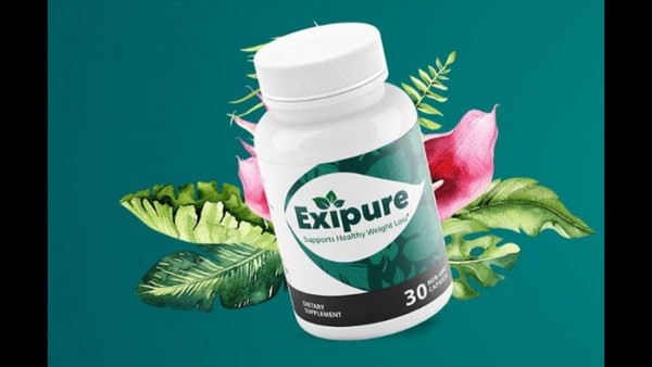 Real ingredients About Exipure