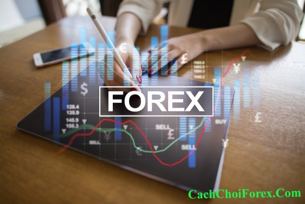 Review toàn diện về sàn Hot Forex
