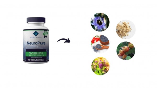 Revitalize Your Brain with NeuroPure Premier Vitality: Support Healthy Cognitive Function