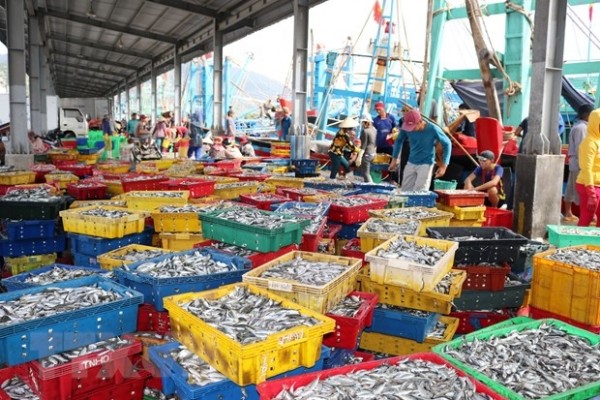 Rổ cá - ky cá - sóng cá - khay nhựa đựng cá