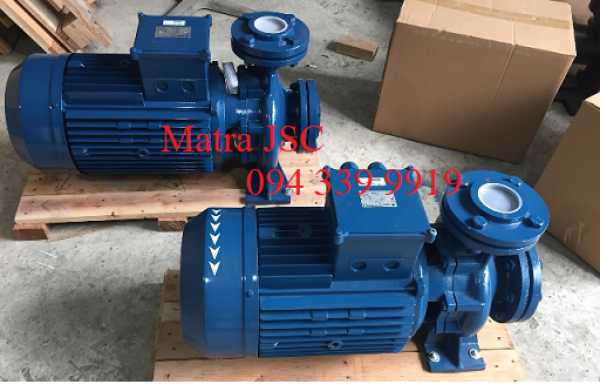 Sẵn hàng 094 339 9919, Bơm điện cấp nước sinh hoạt CM32-250B hàng Ý chính hãng giá tôt nhất