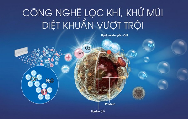 Sản phẩm có khả năng thanh lọc bụi bẩn, vi khuẩn, nấm mốc