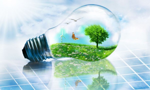 Sản phẩm tiết kiệm năng lượng nội địa tập trung nhóm chiếu sáng