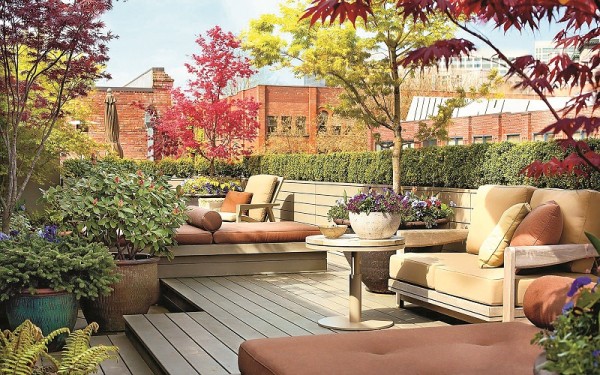 Sân thượng được tận dụng làm vườn xanh um, tươi tốt