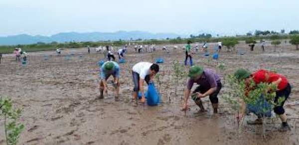 Sáng tạo Ngôi nhà đa mục tiêu ứng phó với biến đổi khí hậu