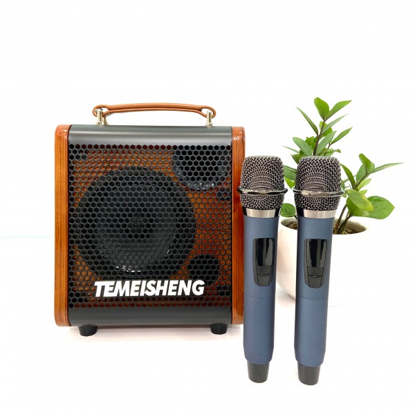 Sang Trọng - Đẳng Cấp: Loa Karaoke Di Động Temeisheng JT06-53