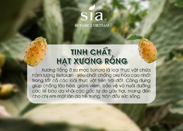 Sia Botanics – Top 10 mỹ phẩm hữu cơ được yêu thích nhất thế giới