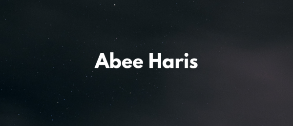 Slacker's Guide To Abee Haris