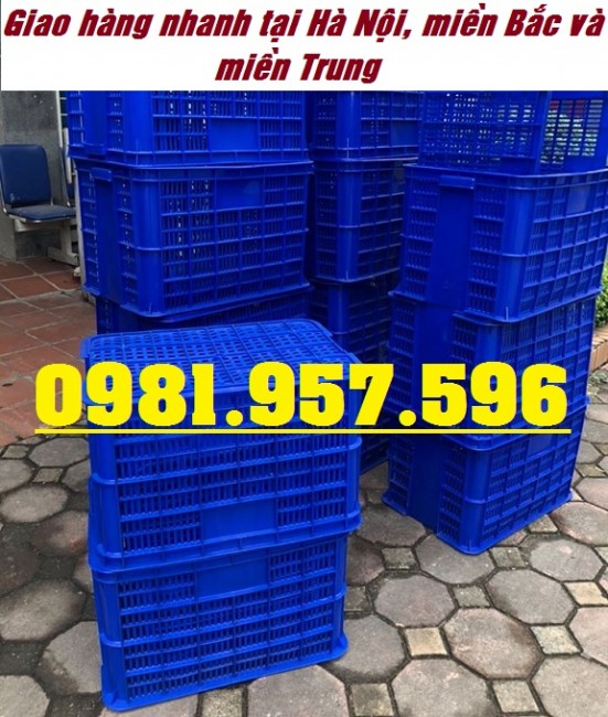 Sọt nhựa công nghiệp đựng hoa quả, sóng nhựa công nghiệp Hs005