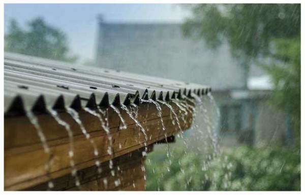 Sử dụng nước mưa như thế nào để an toàn?
