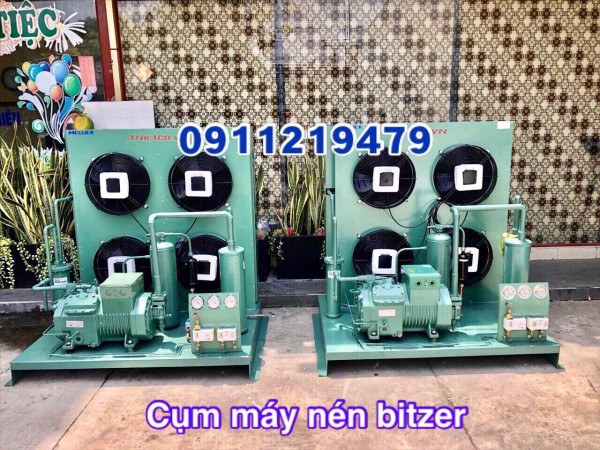 sửa chữa cụm máy nén Bitzer 10hp 4PES-12