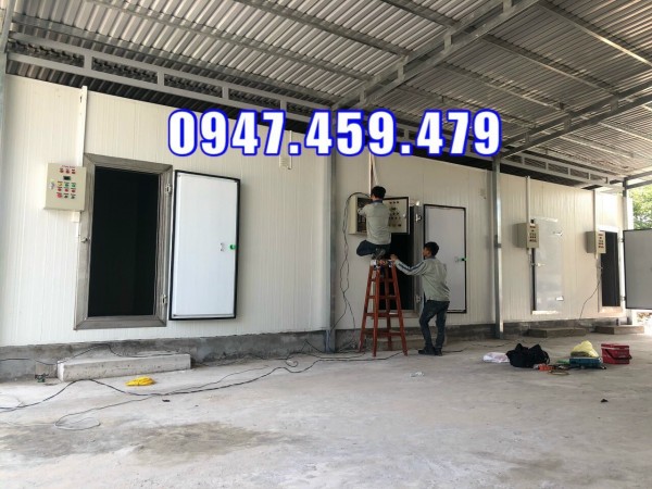 sửa chữa, tháo lắp kho lạnh bảo quản dâu tây