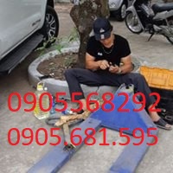 Sửa chữa xe nâng tay tại Tiền Giang 0905568292 - 0905.681.595