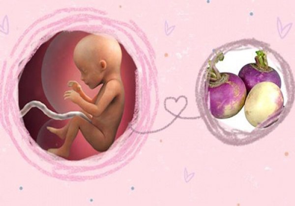 [Sức Khỏe và Gia Đình] Phá thai 17 tuần có nguy hiểm không hay có phá được không